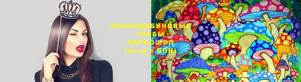 ГАЛЛЮЦИНОГЕННЫЕ ГРИБЫ Балахна